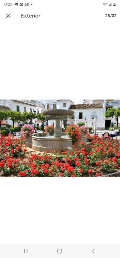 Esteponacies Bagian luar foto